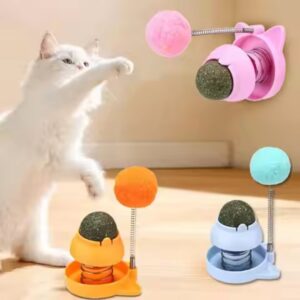 Catnip Ball with Catnip Toy