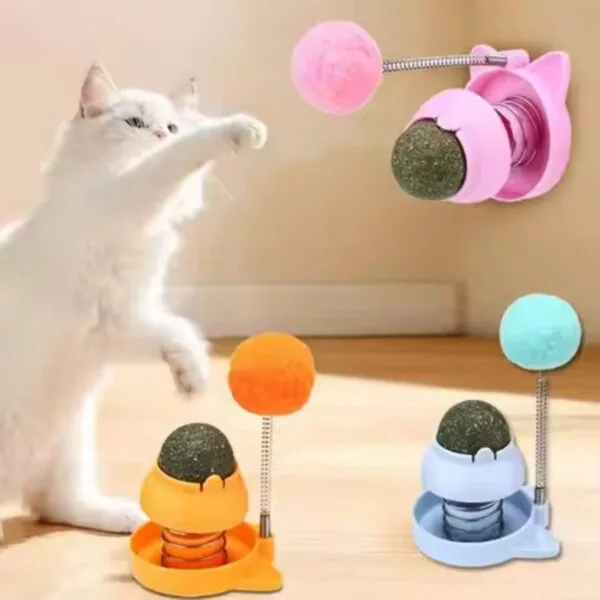 Catnip Ball with Catnip Toy - Image 3