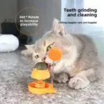 Catnip Ball with Catnip Toy - Image 5