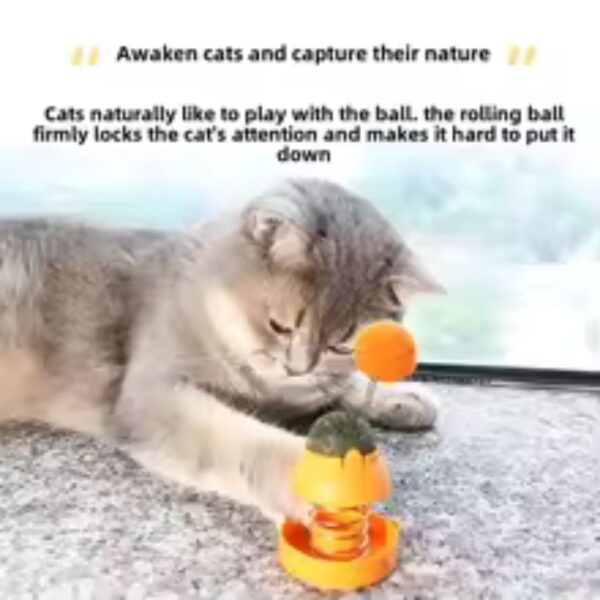 Catnip Ball with Catnip Toy - Image 6