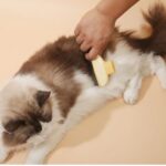 Pet Hair Remover Self-Cleaning Cat Comb/Brush with Button - Image 9