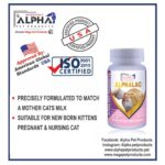 Alpha (MEGA PET) Kitten Milk Replacer – 150 Gram - Image 3
