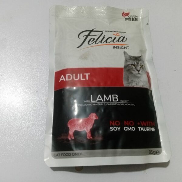 Felicia Wet Pouches Food For Adult Cats In Jelly - Image 4