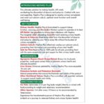 Nephro Plus Supplement for Kidneys - Image 2