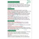 Nephro Plus Supplement for Kidneys - Image 2