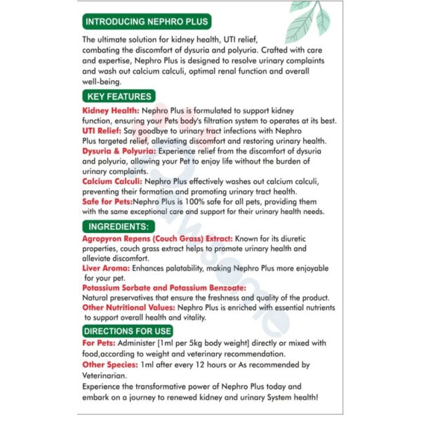 Nephro Plus Supplement for Kidneys - Image 2