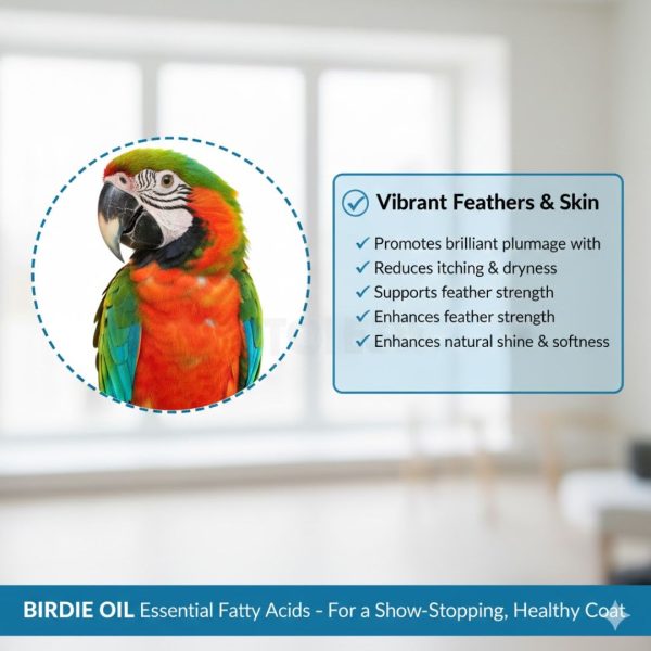 BIRDIE Oil For Birds - 30 ML - Image 7