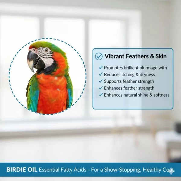 BIRDIE Oil For Birds - 30 ML - Image 7