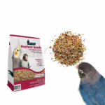 Birdie Perfect Seeds For Small Parrots - 1 KG - Image 2