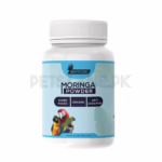 Moringa Powder Recovery, Immunity And Fertility Booster - 100 Gram