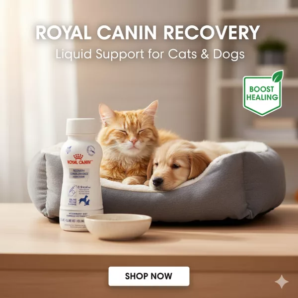 Royal Canin Veterinary Recovery Liquid For Dogs And Cats - 200 ML - Image 2