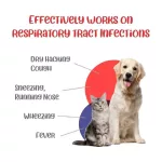 Asbrip Pet Cough Syrup – Antibacterial And Antiviral - Image 2