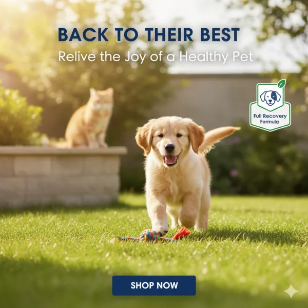 Royal Canin Veterinary Recovery Liquid For Dogs And Cats - 200 ML - Image 4