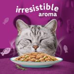 Whiskas 1+ Aromatic Selection Seafood Delight In Gravy – 12 Pouch Box - Image 2