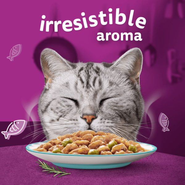 Whiskas 1+ Aromatic Selection Seafood Delight In Gravy – 12 Pouch Box - Image 2