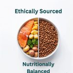 Whiskit Tuna Delight Adult Dry Cat Food - Image 2