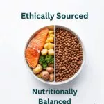 Whiskit Tuna Delight Adult Dry Cat Food - Image 2