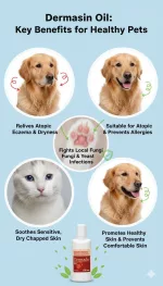 Dermasin Pet Fungal Relief Oil - 100 ML - Image 6