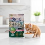 Mystic 2-12 Months Kitten Chunks In Jelly – 85 Gram Pouch