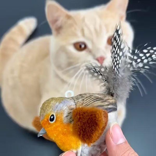 Interactive Cat Toy with Realistic Bird Chirping Sounds - No Batteries Needed - Image 17