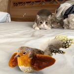 Interactive Cat Toy with Realistic Bird Chirping Sounds - No Batteries Needed - Image 8