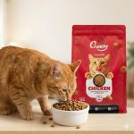 Crunchy Cat Food – All Life Stages Cat Food - Image 2