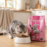Groove Adult Cat Food Chicken – All Life Stages Cat Food - Image 2
