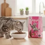 Groove Adult Cat Food Fish – All Life Stages Cat Food - Image 2