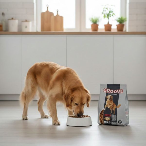 Groove Adult Dog Food Beef – All Life Stages Dog Food - Image 2