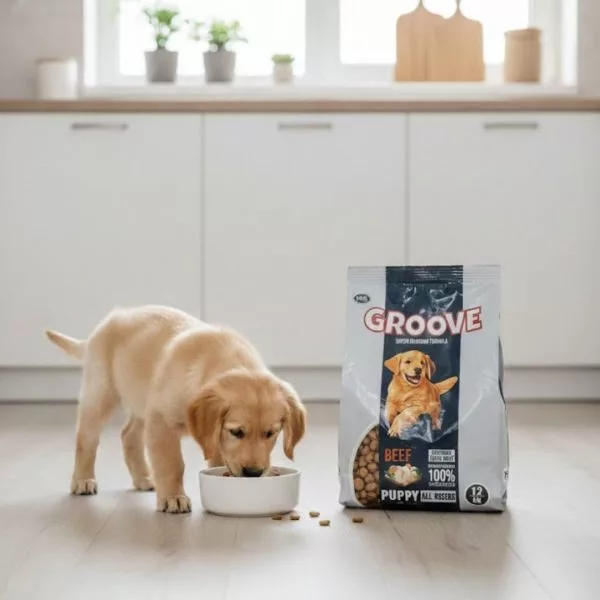 Groove Puppy Food Beef – All Life Stages Puppy Food - Image 2