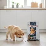 Groove Puppy Food Chicken – All Life Stages Puppy Food