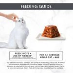 Purina Gourmet Revelations Mousse Fine Cuts With Salmon In Jelly - ( 4 x 57 Gram) - Image 2