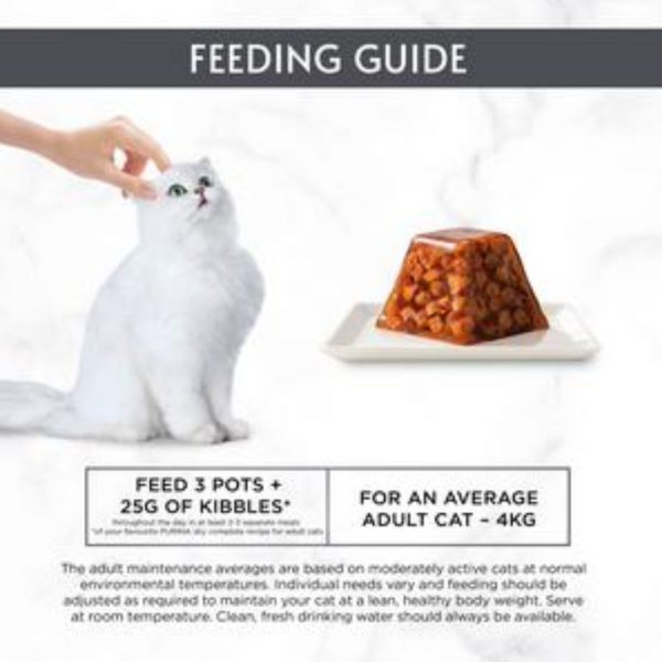 Purina Gourmet Revelations Mousse Fine Cuts With Salmon In Jelly - ( 4 x 57 Gram) - Image 2