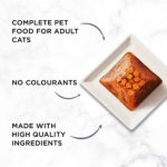 Purina Gourmet Revelations Mousse Fine Cuts With Salmon In Jelly - ( 4 x 57 Gram) - Image 3