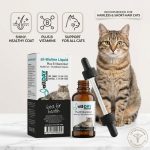 ALLDAY All Biotin Liquid For Cat – 50 ML