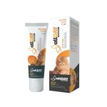 ALLDAY Mix Vitamin Paste For Cat - 100 Gram