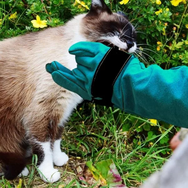 Aggressive Pet Handling Gloves Full Sleeves - Image 6