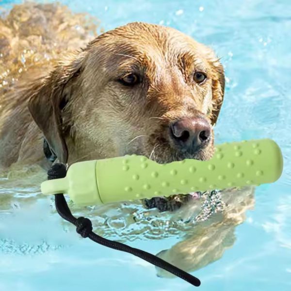 Dog Chew Toys / Teethers for Dogs / Float Bumper - Image 5