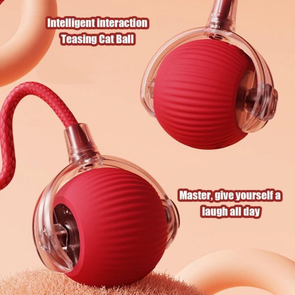 Interactive Cat Toy Electric Automatic Rolling Ball With Rope - Image 3