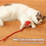 Interactive Cat Toy Electric Automatic Rolling Ball With Rope - Image 6