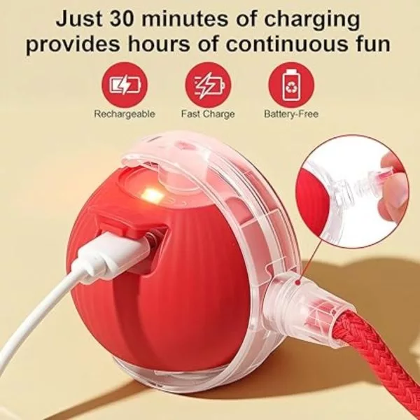 Interactive Cat Toy Electric Automatic Rolling Ball With Rope - Image 7