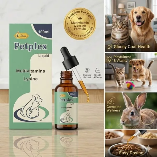 Petplex – Advanced Nutritional Support for Pets Health / Multivitamins And Lysine – 100 ML - Image 2