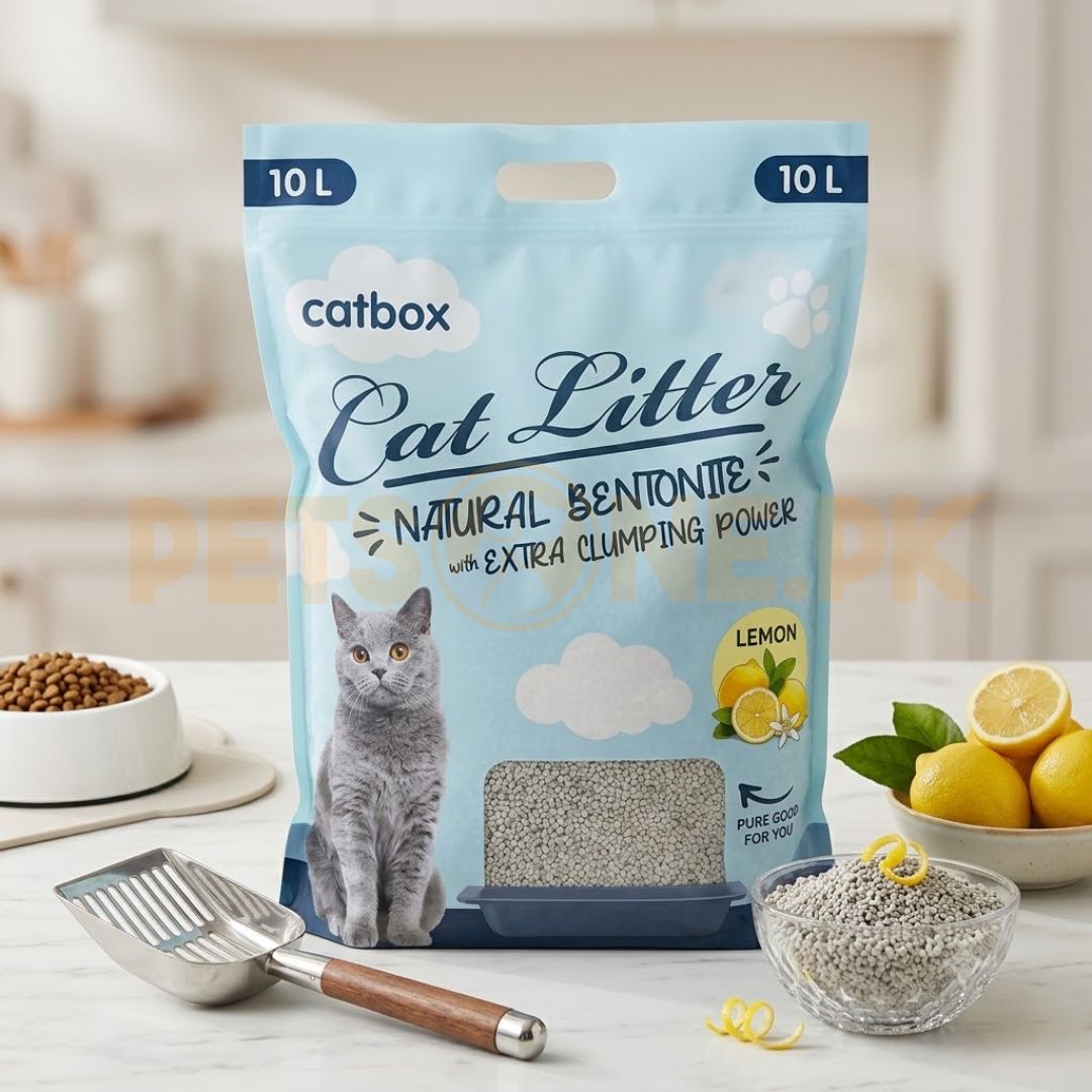 Cat Box Bentonite Cat Litter – 10 L