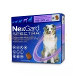 Nexgard Spectra Chewable Tablet For Dogs Weight 15-30Kg  – 1 Tablet