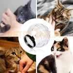 Cat Muzzle Anti-Bite Breathable Protective Space Hood - Image 2