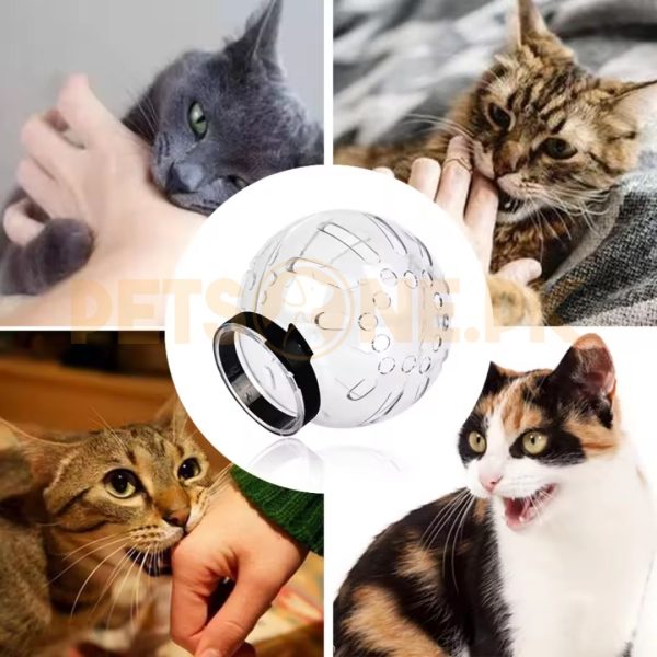 Cat Muzzle Anti-Bite Breathable Protective Space Hood - Image 2
