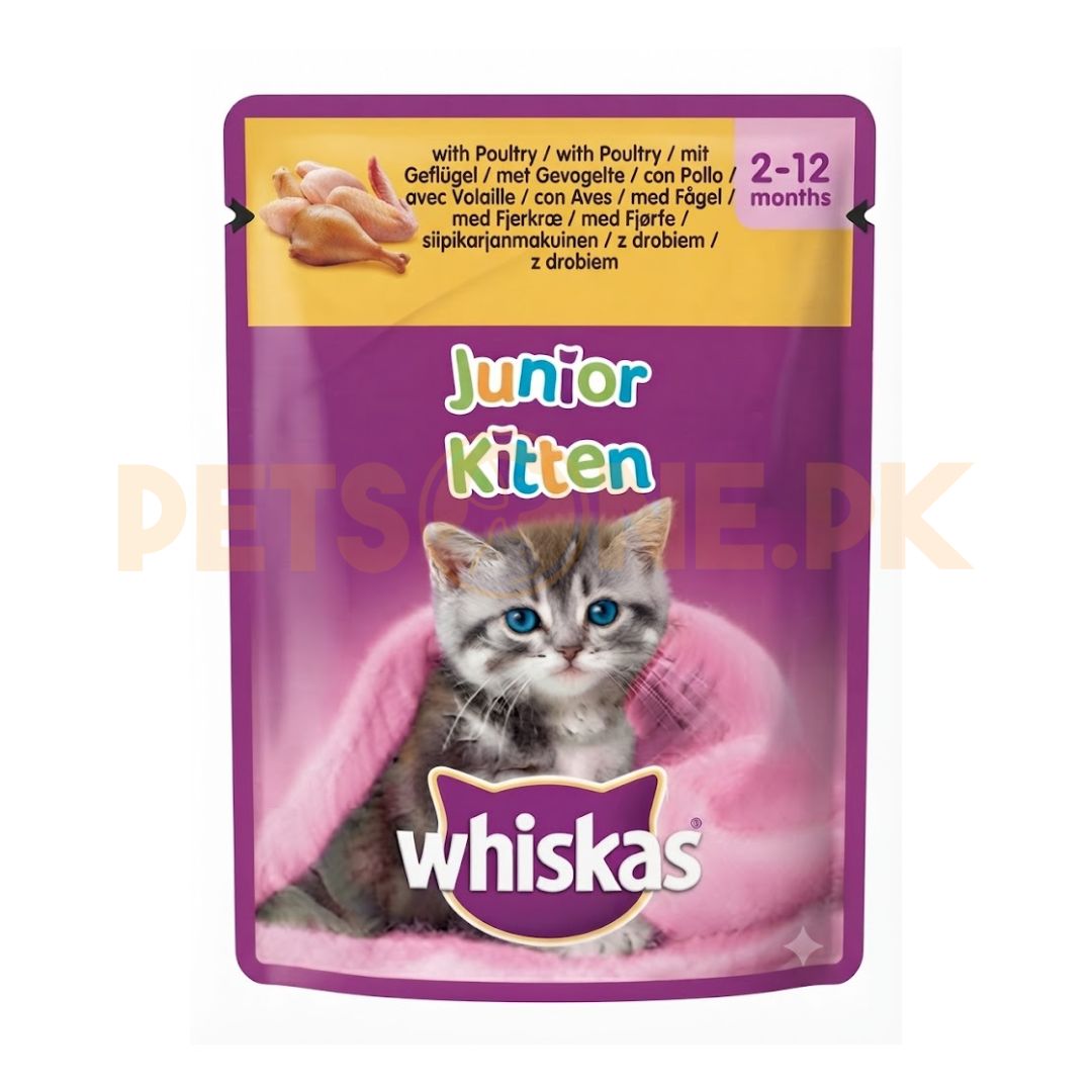 Whiskas 2-12 Month Kitten Poultry Feasts In Jelly – 85 Gram Pouch
