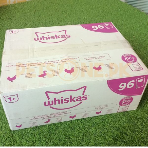 Bundle : WHISKAS Jelly Pouch – 85 Gram x 96 Pouches - Image 2