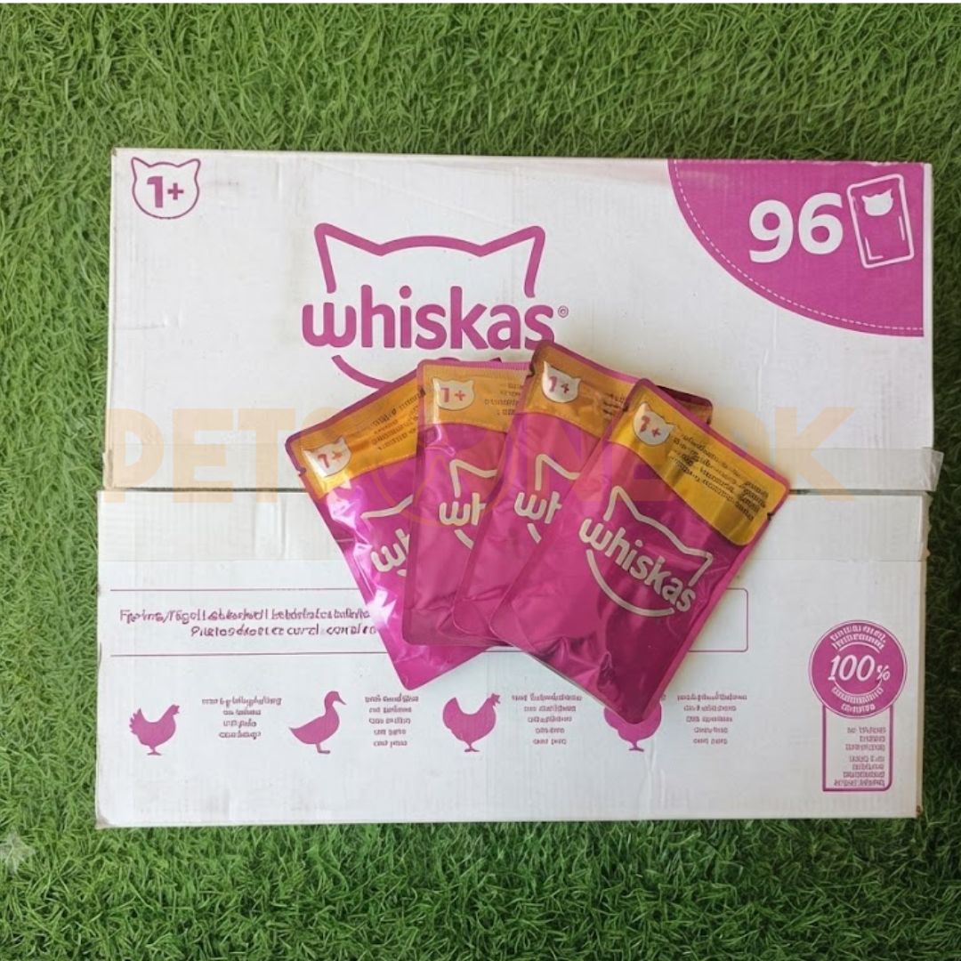 whiskas bundle Bundle : WHISKAS Jelly Pouch – 85 Gram x 96 Pouches - Image 1