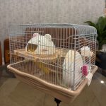 Hamster Cage - Image 7